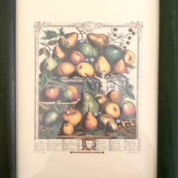 Set of 4 Vintage Arthur Kaplan Flower Prints Framed - Like New - Picture 2 of 5